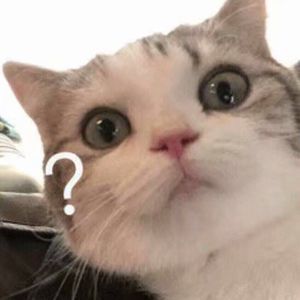 中国明星黄色性生活
